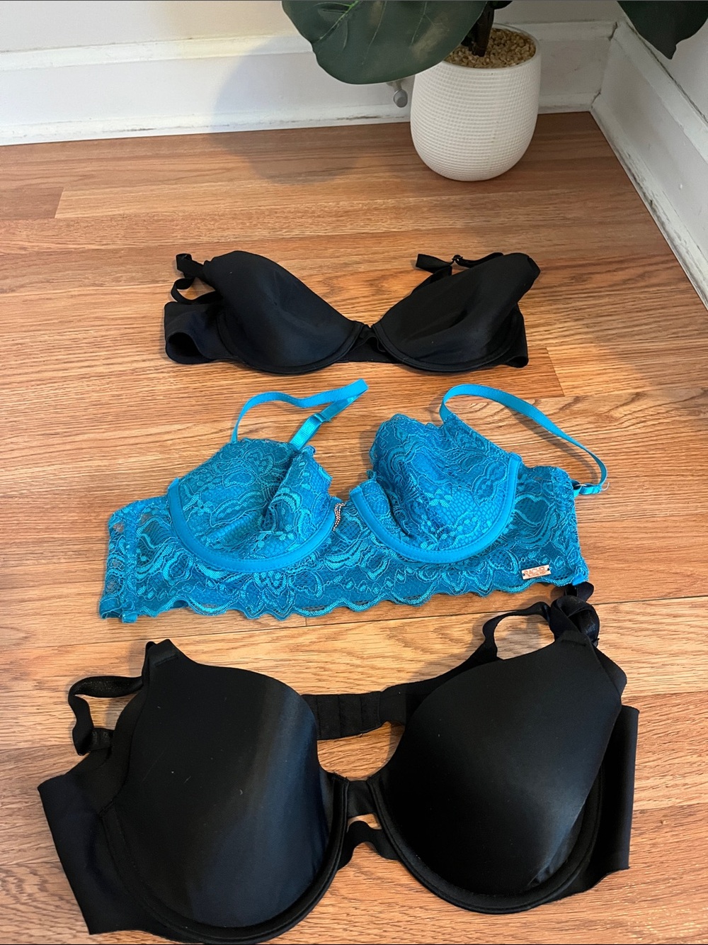 RACHEL Rachel Roy Turquoise Lace Underwire Bra